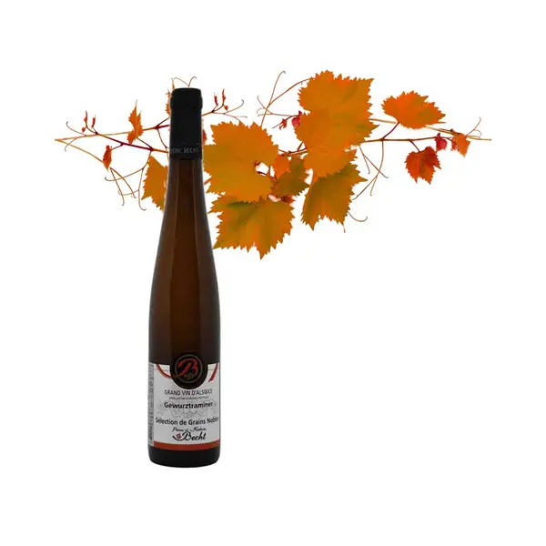 Gewurztraminer Sélection de Grains Nobles 2016 – 50 cl